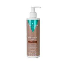 Valquer Mascarilla Power Color Castaño 275 Ml