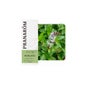 Óleo Essencial de Menta Poleo 10ml