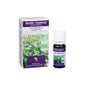 Doctor Valnet Organic Manjericão Óleo Essencial Orgânico 10ml