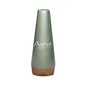 Agave Healing Oil Smoothing Shampoo 250ml