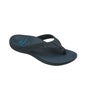 Scholl Ryder N ° 44