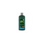 Shampoo Hidratante Logona Aloe Vera 250ml