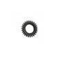 Peinarte Boobbles 3 Uni - Negra