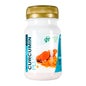GHF Curcumina mais 60 Cápsulas 550mg