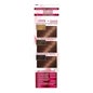 Garnier Color Sensation N°5.52 Caju Castanho Caju 4 peças