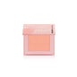 Freshly Cosmetics Pure Mineral Compact Blush 1 Unidade