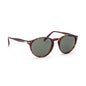 Persol Po3092Sm-901531 Havana Green 1ud