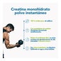 Creatina Bonusan Monoidrato 350g