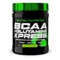 Scitec Nutrition BCAA + Glutamine Xpress Maçã 300g