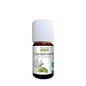 Proposta de Cardamomo de Óleo Essencial Orgânico Natureza 5ml