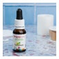 Sura Vitasan Óleo de Orégano 15 ml