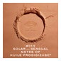 Nuxe Poudre éclat prodigieux 9,5 g