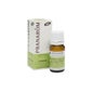 Óleo Essencial Terpénico Lavanda Bio 10ml