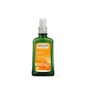 Weleda óleo de corpo de espinheiro mar 100ml