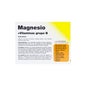 Magnésio Vallesol e 24 vitaminas efervescentes
