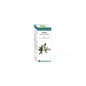 Óleo Essencial Bio niaouli 10ml