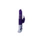 Vibrador Intenso e Divertido Guppy Rotator Lilac