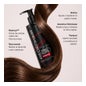Redenhair Champú Anticaída Regenerativo 250 ml