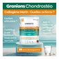 Granions Chondrosteo+ Colágeno Marinho 280g