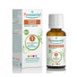 Peppermint Pipe Pipe Pipe Óleo Essencial Bio 30Ml