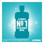 Listerine Mentol Mouthwash Pack 500+250ml