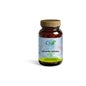 Cfn Curcumin Liposomal 60comp