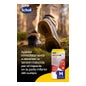 Modelos de uso diário Knee &amp; Heel Scholl In-