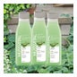 Mussvital Essentials Family Pack Gel de Banho Aloe Vera 3x750ml