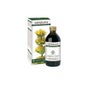 Dr. Giorgini Genciana Extracto Integral 200ml