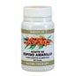 Ortocel Nutri-Therapy Espino Amarillo 500mg 100caps
