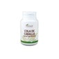 Cavalinha Plantapol 100 comprimidos