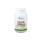 Cavalinha Plantapol 100 comprimidos