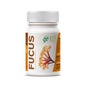 GHF Fucus 500mg 100comp