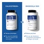 Lescuyer Rhodiola 300 60comp