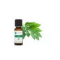Voshuiles Óleo Essencial de Livèche 5ml