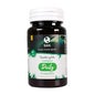 Fermentação Específica Humana San Probiotic 60cáps