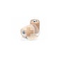 Benda Coban Carne 7,5Cm