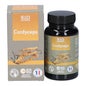 SID Nutrition Cordyceps 60 Pérolas