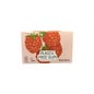 True Gum Chicletes Sem Açúcar Framboesa e Baunilha 24x21 g