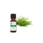 Voshuiles Dill Óleo Essencial (Anethum Sowa) 10ml