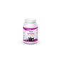 Etixx Isotonic Orange / manga 1kg