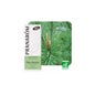 Pinho Selvagem Bio 10ml Óleo Essencial