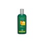 Shampoo Volumizante Logona 250ml