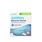 XyliMelts Boca Seca Menta Doce Sem Açúcar 40comp