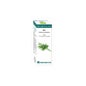 Bio Óleo Essencial Dill 10 Ml.