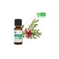 Voshuiles Óleo Essencial Orgânico de Pistácio Lentisco 5ml