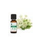 Voshuiles Angelica Óleo Essencial 5ml
