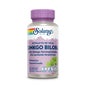Extrato de Ginkgo Biloba Solaray 60 Mg 60 Tampas