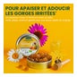 Santarome Propolis Royale Gommes Bio Apaise la Gorge 45uts