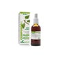 Composor 07 Xxi Diurin Complex Soria Nat